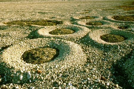 Photo of Patterned Ground at Spitsbergen